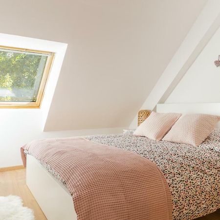 Appartement De Standing 8 Personnes Centre Historique De Колмар Екстериор снимка