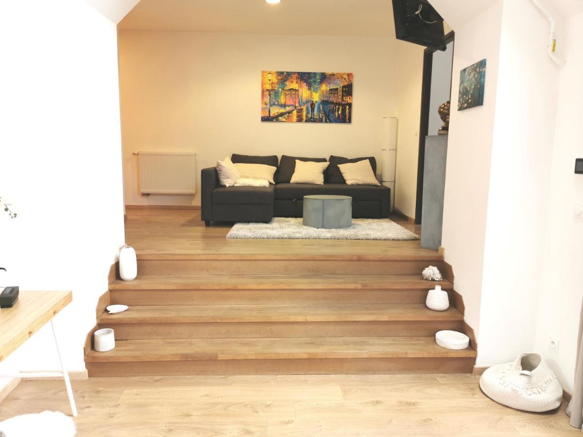 Appartement De Standing 8 Personnes Centre Historique De Колмар Екстериор снимка