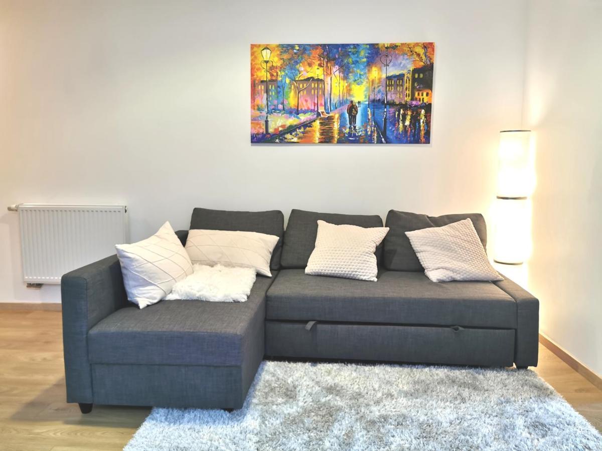 Appartement De Standing 8 Personnes Centre Historique De Колмар Екстериор снимка