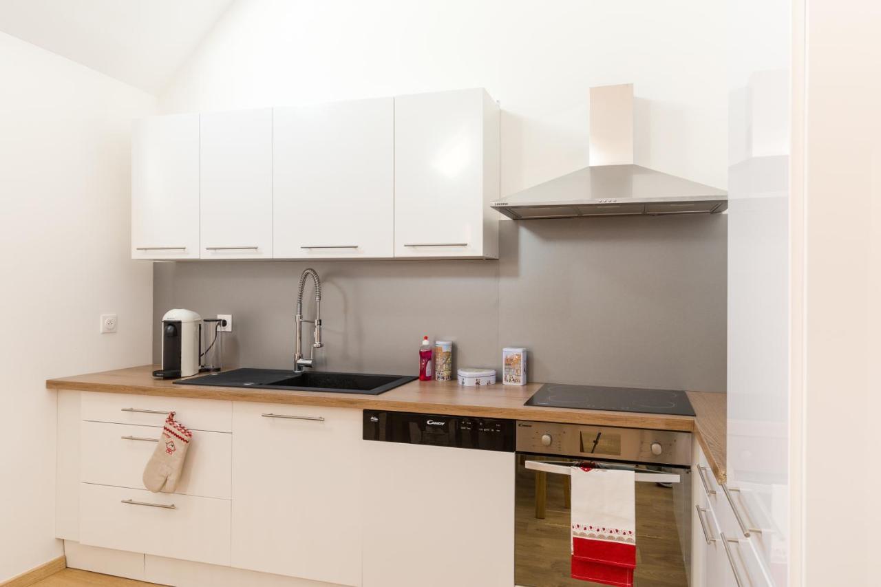 Appartement De Standing 8 Personnes Centre Historique De Колмар Екстериор снимка